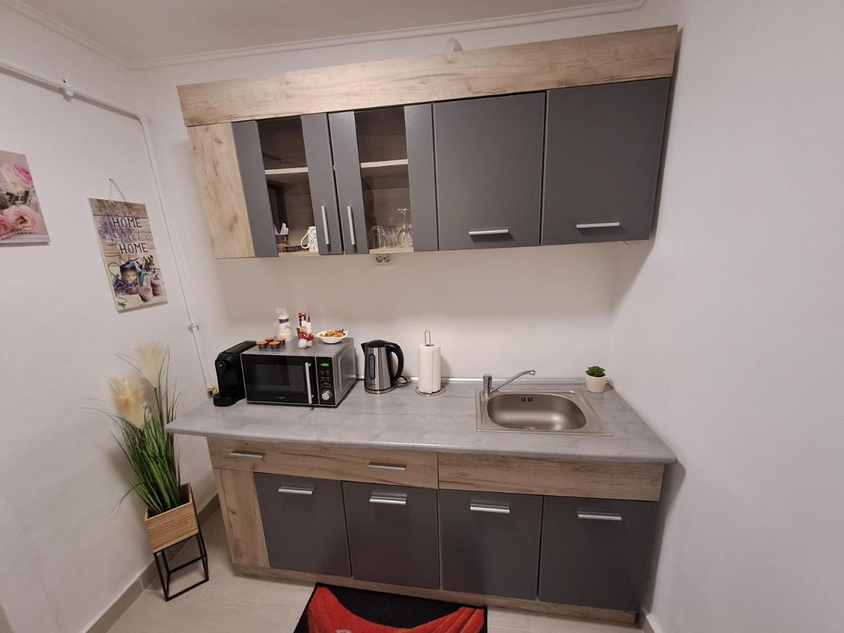 סיביו Garsoniera Vivere מראה חיצוני תמונה